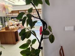 -云境cloudland·口味蛋糕•下午茶(长江路店)