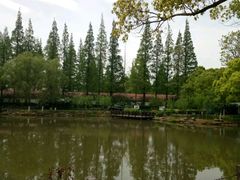 -瀛洲公园