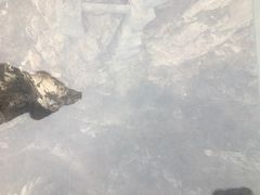 -狼牙山风景区