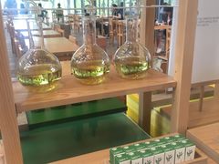 -雪绿茶博物馆