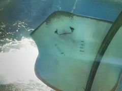 -福州罗源湾海洋世界旅游区