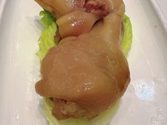 -丁老爷子苏香圆