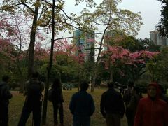 -晓港公园