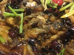 -老板恋上鱼(恒隆广场店)