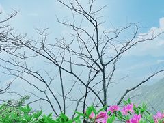 -庐山风景名胜区