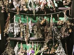 -西关84·History·Art·Cafe