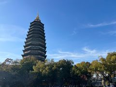 -红梅公园