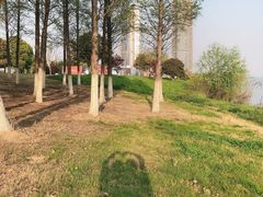 景点-西太湖揽月湾