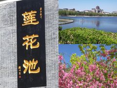 -莲花池公园
