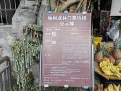 -瑞丽独树成林风景区