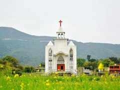 -大姆山草场
