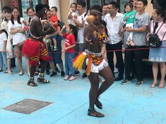 -芜湖新华联大白鲸海洋公园