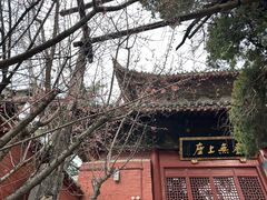 -洛阳白马寺