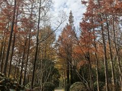 -长广溪湿地公园