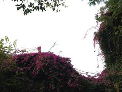 iphone_upload_pic-铁路文化公园