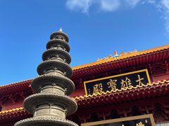 -深圳仙湖植物园
