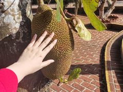 -侯臣咖啡文化村