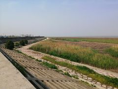 -南汇嘴观海公园