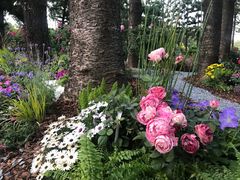 -人民公园(罗湖区)