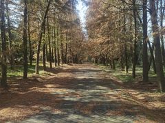 -上海海湾国家森林公园