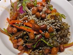 -鸽小宝(深圳首店)