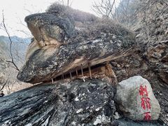 -黑龙潭风景区