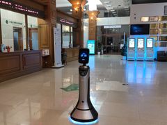 -北京德尔康尼骨科医院