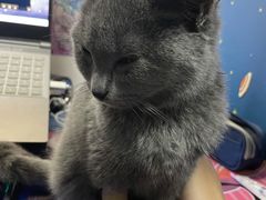 -联合动物医院(光谷诊疗中心)