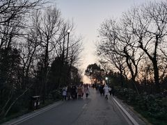 -岳麓山风景名胜区
