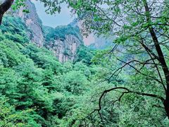 -青峰峡国家森林公园