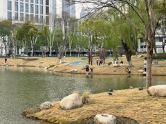 -后襄河公园
