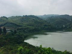 -广州市流溪河国家森林公园