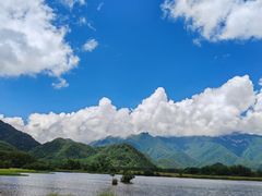 -大九湖