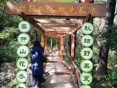 -大岭沟猕猴桃谷风景区
