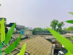 -竹马造型工作室