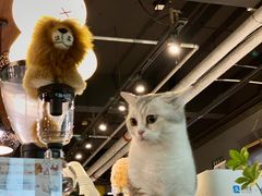 -咖法森林·咖啡  酒吧(天河店)