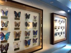 -上海昆虫博物馆