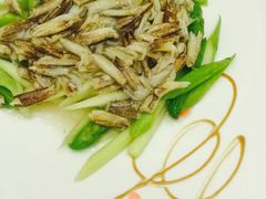 -新光酒家·河豚·海鲜·蟹料理(浦东店)