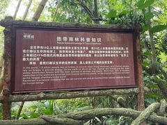 -呀诺达热带雨林
