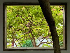 -秋霞圃