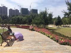 -长春公园(普阳街道)