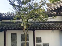 -常熟方塔园