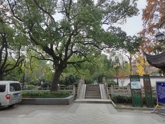 -安亭老街