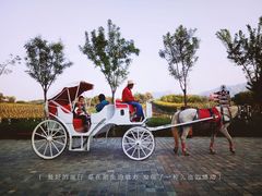 -北京张裕爱斐堡酒庄