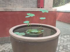 -红螺寺