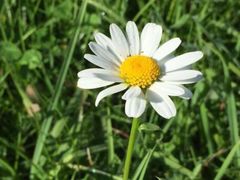 -羚羊峡古栈道森林公园