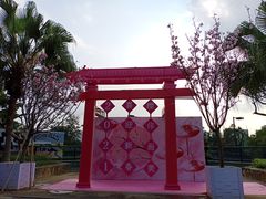 -观澜湖生态运动公社