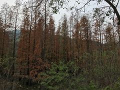 -逍遥谷景区