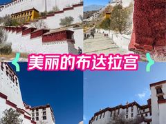 -布达拉宫