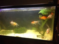 iphone_upload_pic-汉刺青TATTOO STUDIO